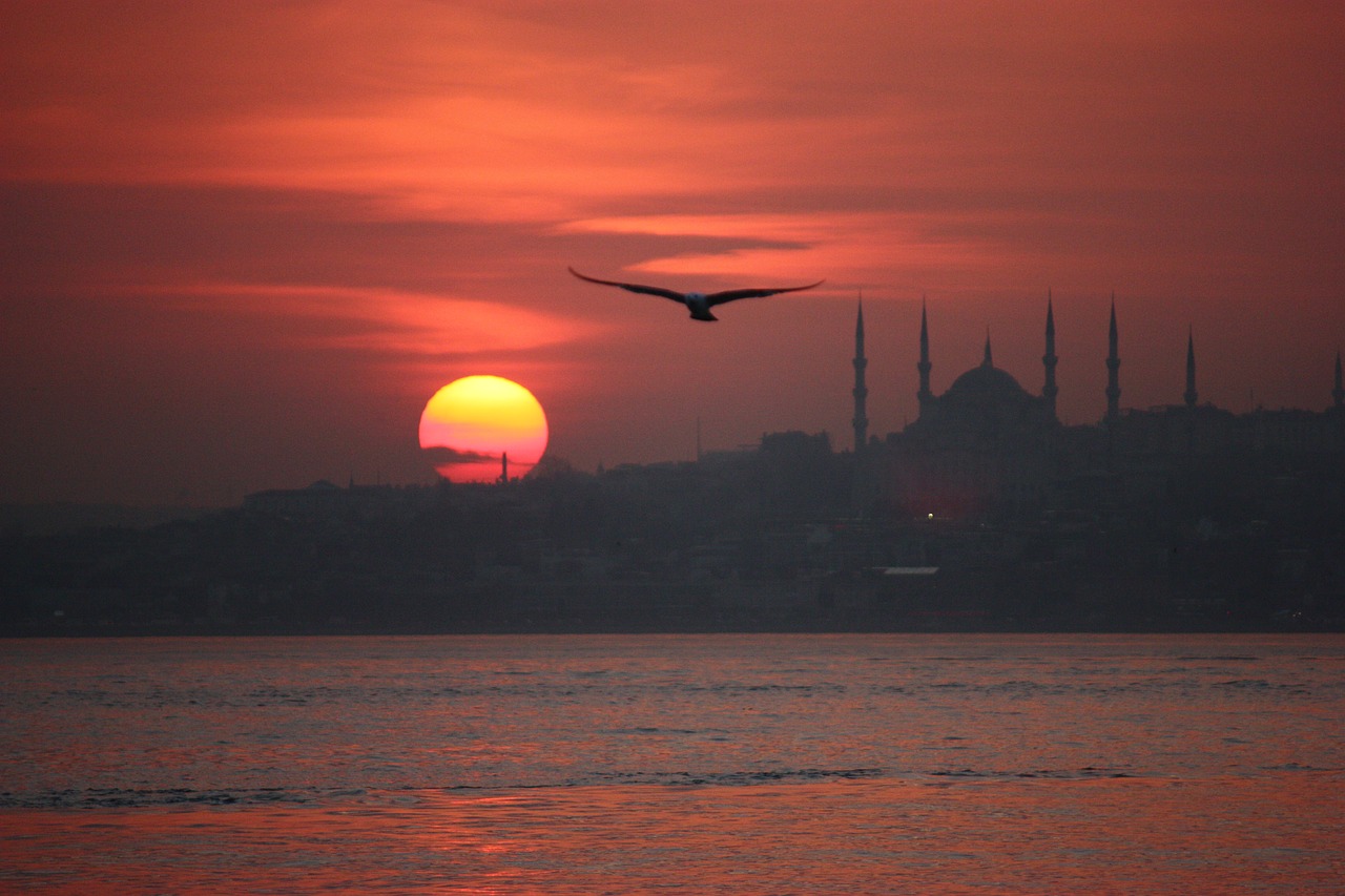 Discovering History, Romance and the Magic of Nature of Istanbul at Sunset with Bosphorus Cruise